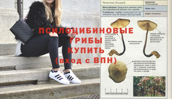каннабис Алексин