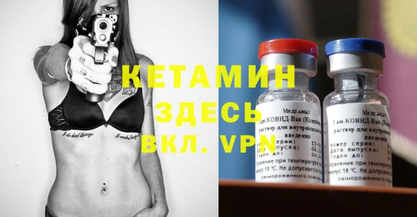 индика Слюдянка