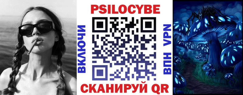Галлюциногенные грибы Psilocybine cubensis  купить наркоту  Слободской 