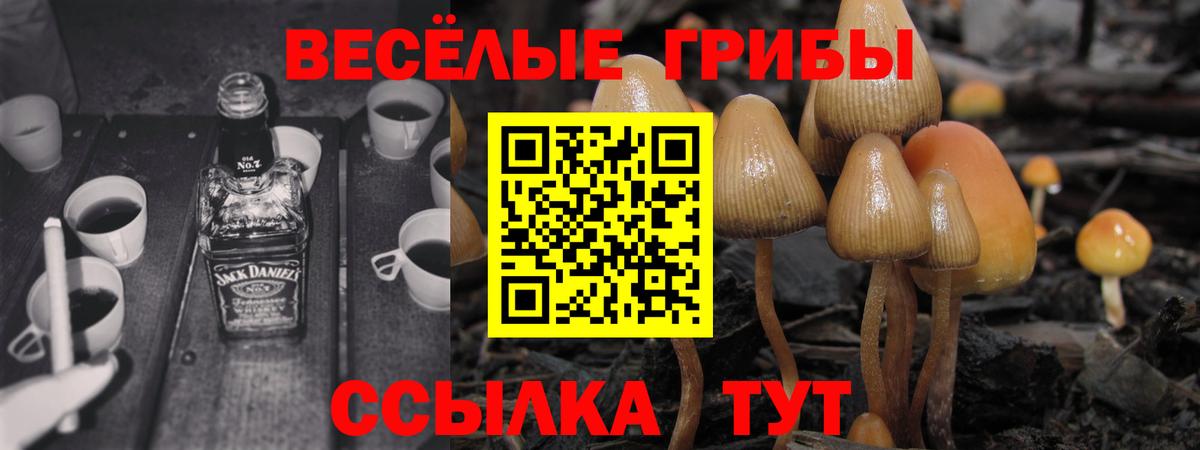 Галлюциногенные грибы Psilocybine cubensis  где продают наркотики  Псилоцибиновые грибы Psilocybe  Слободской  Вход с VPN 